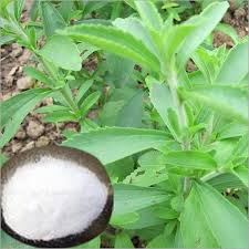 Manufacturers Exporters and Wholesale Suppliers of Botanical Products 1 NEW DELHI DELHI